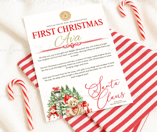 Teddy First Christmas Letter -Red