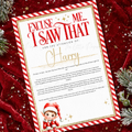 Elf Excuse Me I Saw That Certificate- Personalised