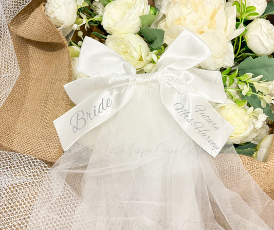 Clip in Veil Wedding/Hen Night